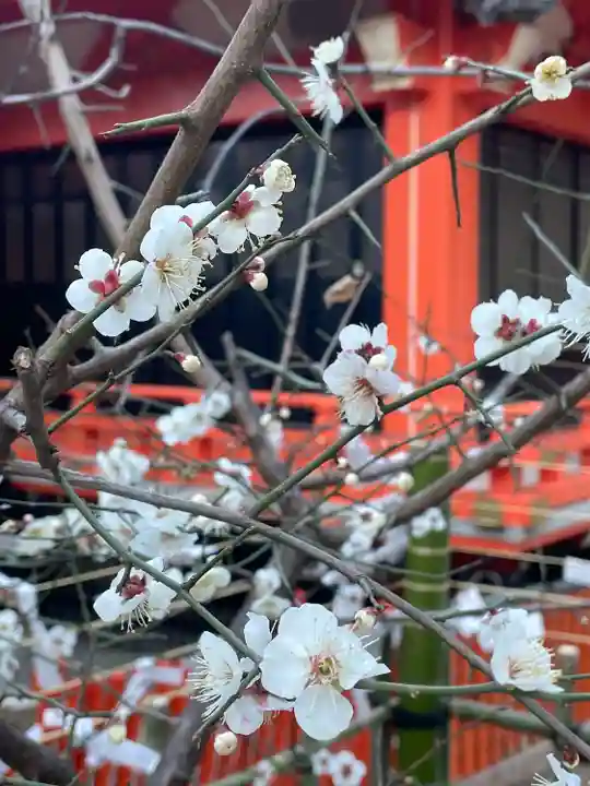 花園神社の自然