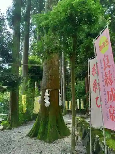 中之嶽神社のその他建物