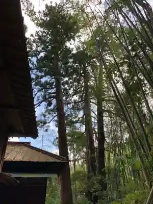 熊野神社の自然