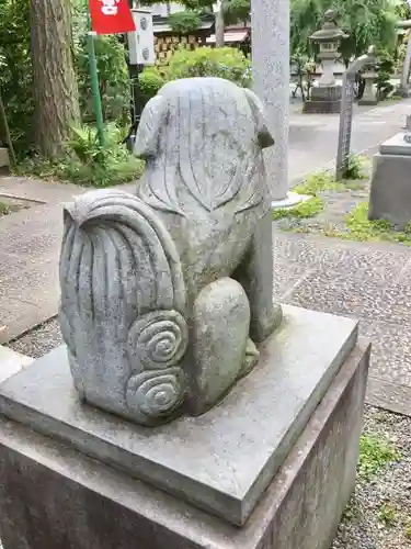 阿豆佐味天神社 立川水天宮の狛犬