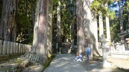 高野山金剛峯寺奥の院(和歌山県)