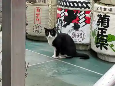 小野八幡神社(兵庫県)