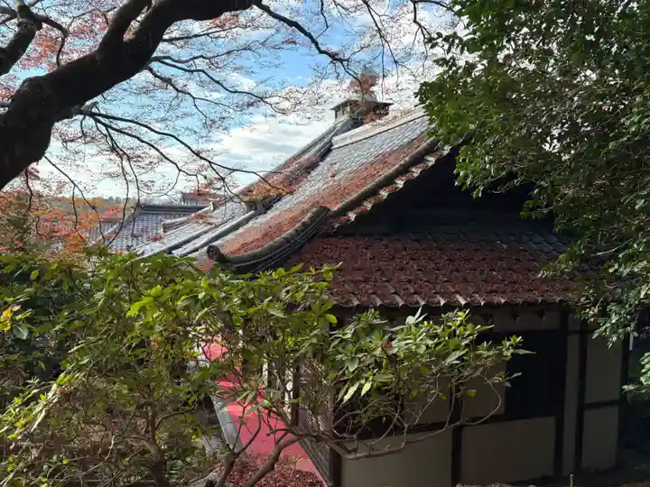 霊鑑寺門跡(京都府)