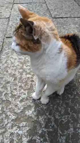 戸越八幡神社(東京都)
