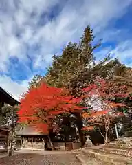 柏原八幡宮の自然