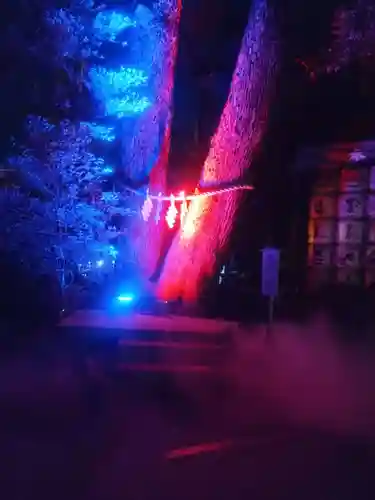 武蔵一宮氷川神社(埼玉県)