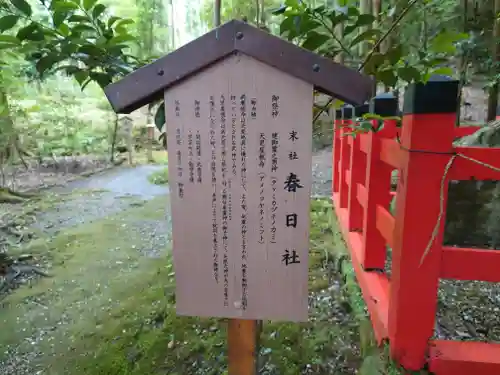 出雲大神宮の歴史