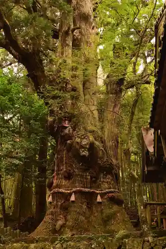 大杵社(大分県)