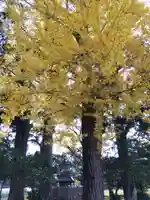 佐味神社(滋賀県)