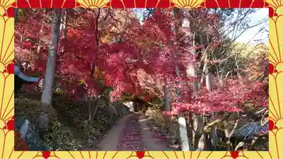 崇禅寺(群馬県)