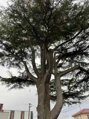 薬師堂(茨城県)