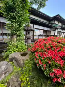 楽水亭 大龍寺(秋田県) 2026年06月18日(木)〜(2026年06月13日(土) 17時01分34秒投稿)