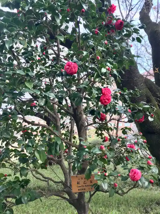 圓通閣(東京都)