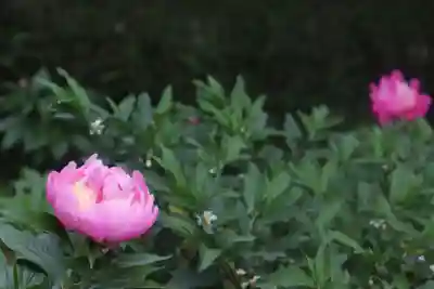 仙波東照宮(埼玉県)