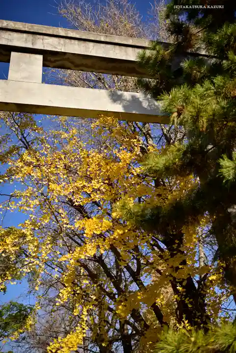 葛飾八幡宮(千葉県)