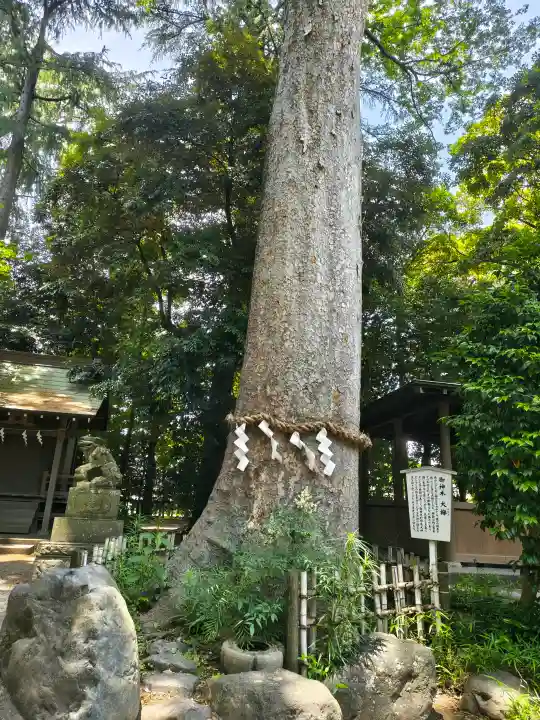 前鳥神社(神奈川県)