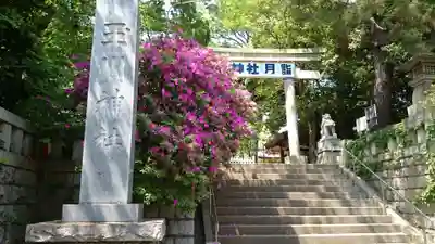 玉川神社のその他建物