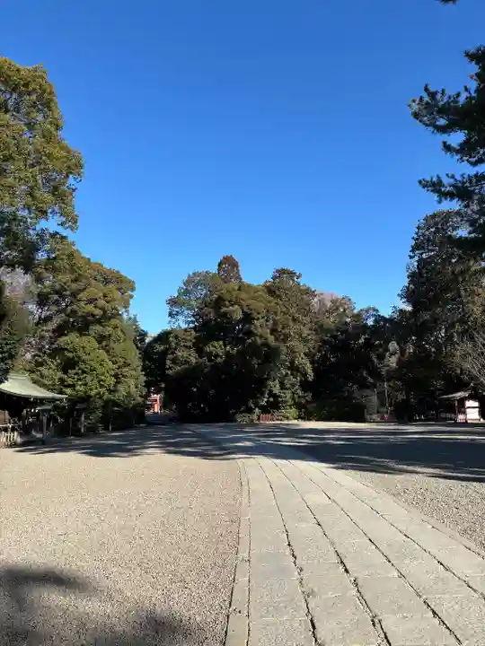 武蔵一宮氷川神社(埼玉県)