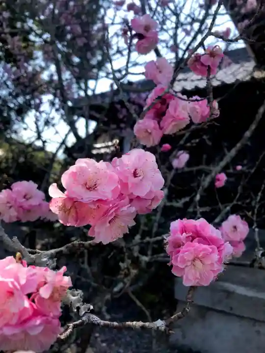 丹生官省符神社の自然