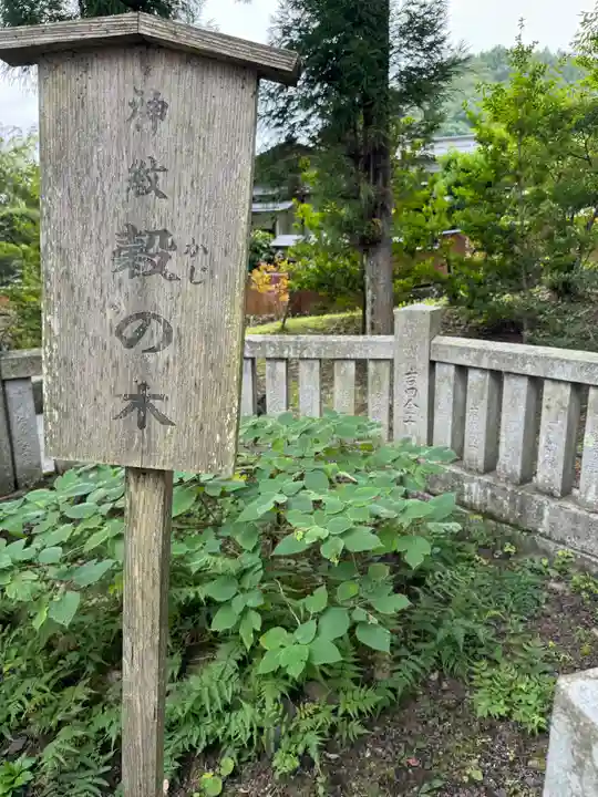 諏訪大社上社前宮(長野県)