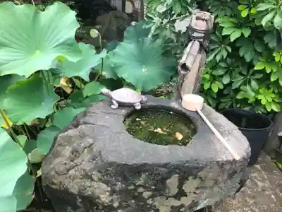 普門院の手水舎