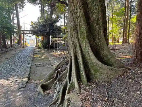 敬満神社の自然