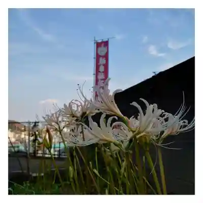 岐阜稲荷山本社(岐阜県)