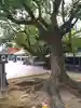 穴八幡宮のその他建物