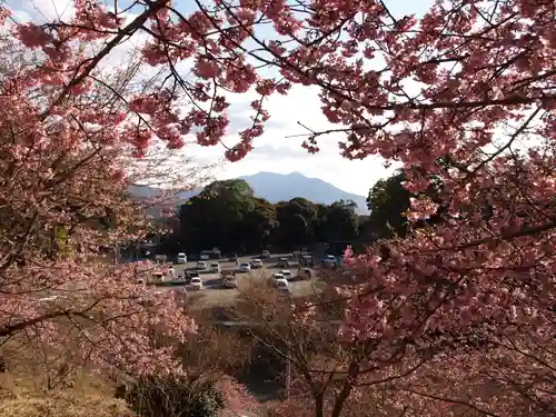 楽法寺（雨引観音）の景色