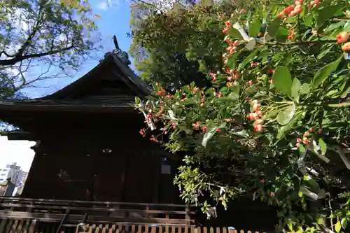 阿邪訶根神社の本殿・本堂