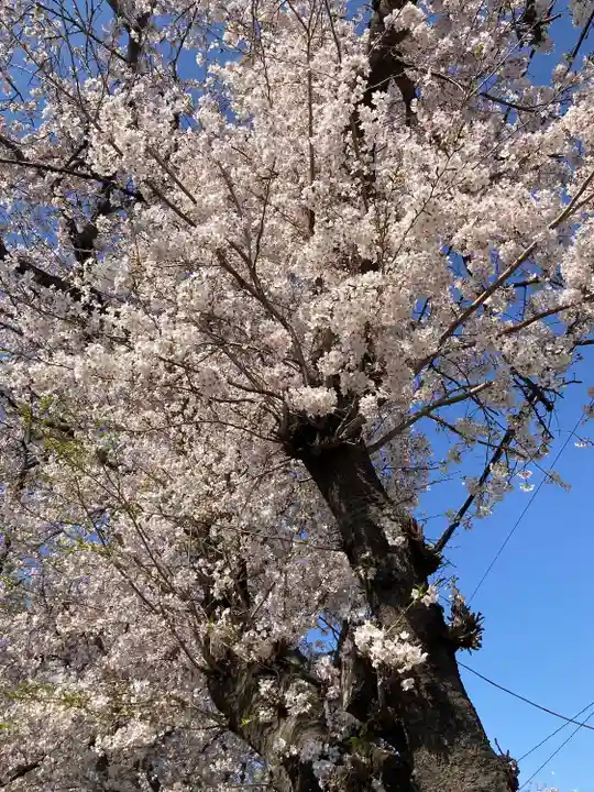 前鳥神社(神奈川県)