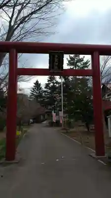 札幌護國神社の鳥居