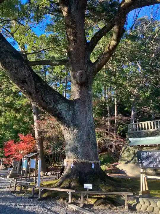 事任八幡宮の庭園