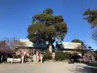 伊勢原大神宮の本殿・本堂