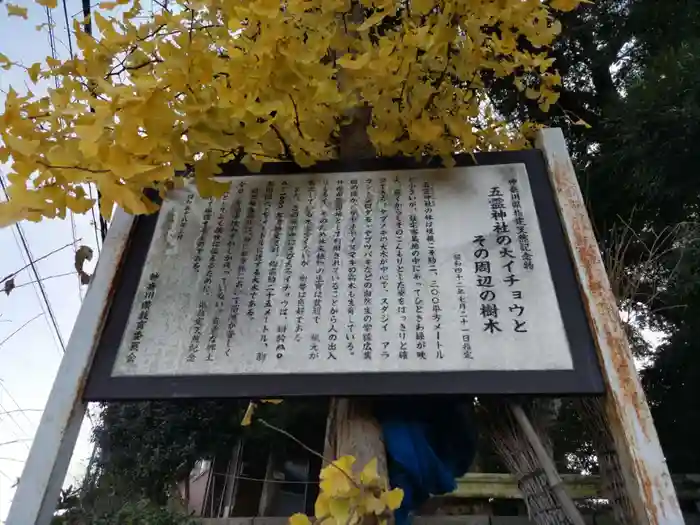 五霊神社の建物その他