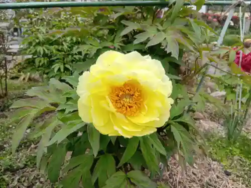 本覚寺(岐阜県)