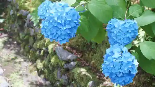 東福禅寺（東福寺）(京都府)