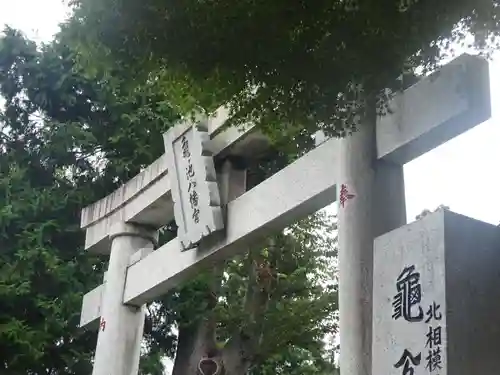 亀ケ池八幡宮の鳥居