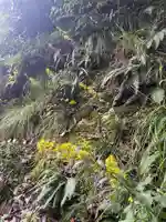 国上寺(新潟県)