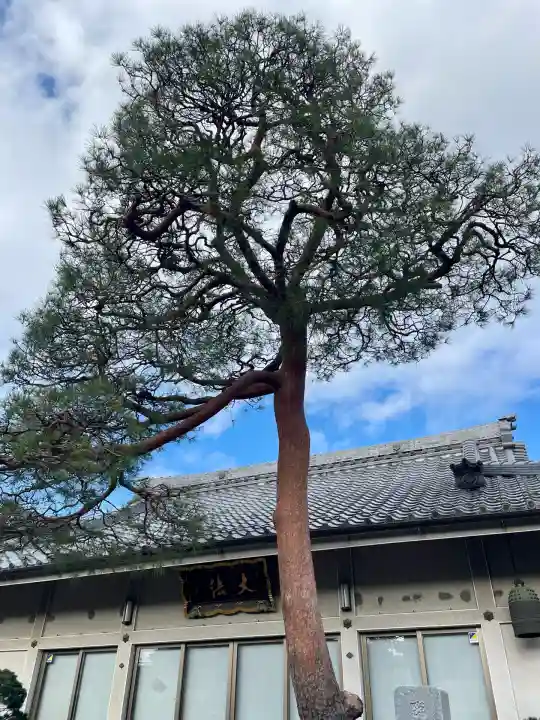 大法寺(東京都)