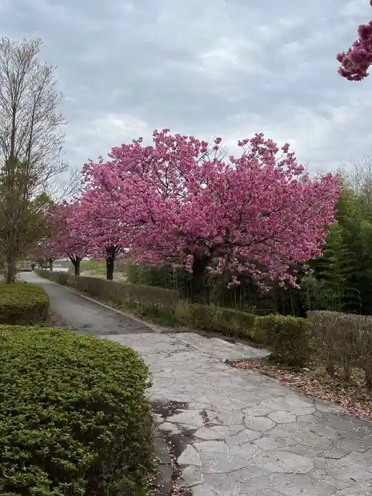 滑川神社 - 仕事と子どもの守り神の自然