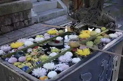 柳谷観音　楊谷寺(京都府)