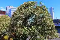 愛宕神社の周辺