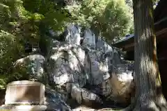 鹿島大神宮の自然