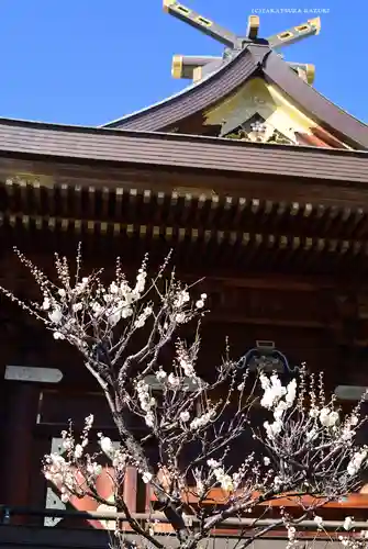 湯島天満宮(東京都)