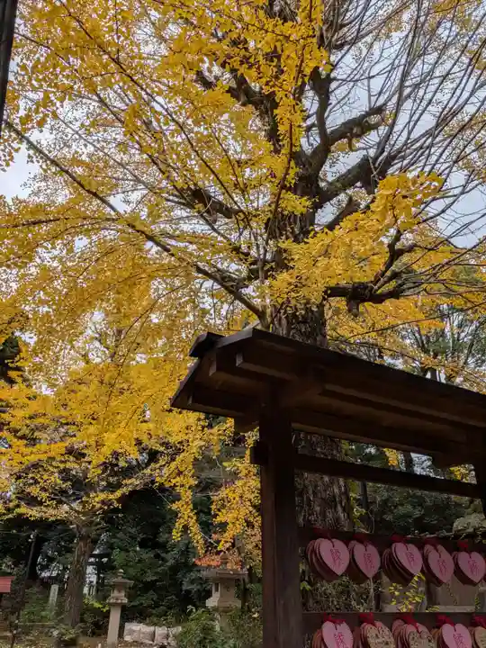渋谷氷川神社(東京都)