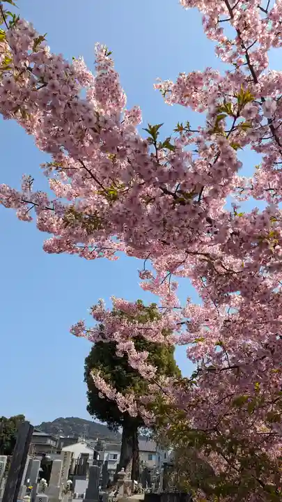 後白河院御聖蹟 法住寺(京都府)