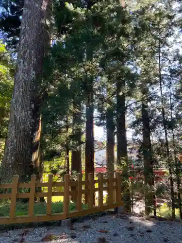 須山浅間神社のその他建物