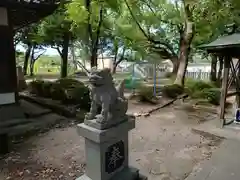 新屋坐天照御魂神社の狛犬