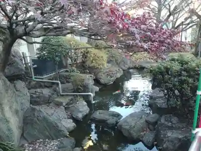 東光寺別院桜ヶ池不動院(東京都)